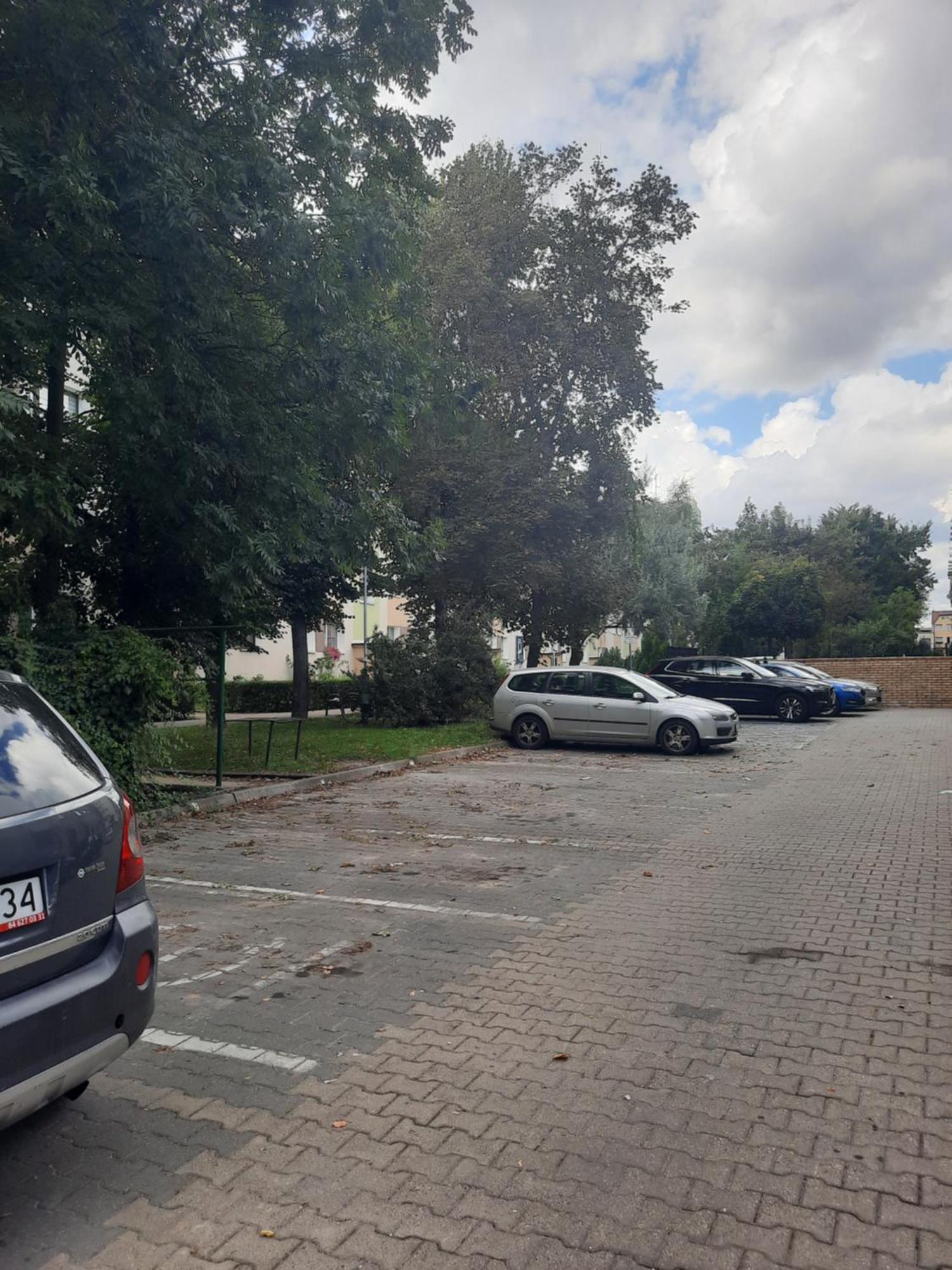 Apartament Jak W Domu Zamość Eksteriør bilde